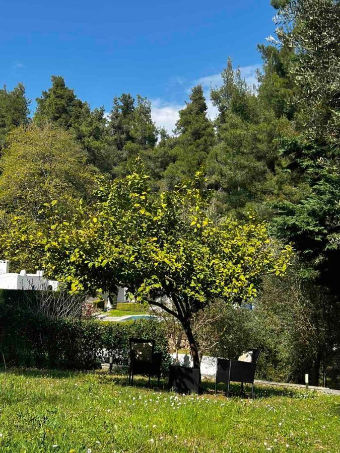 Sani Garden House Vila Exterior foto